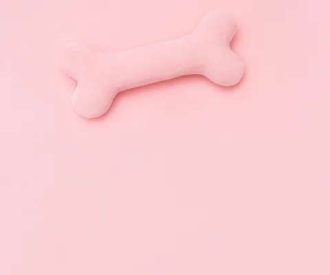 catalog banner