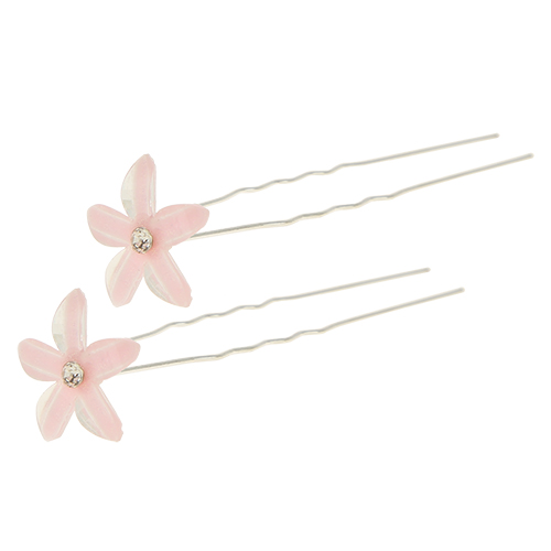 

Набор шпилек LADY PINK FLOWER POWER 2 шт