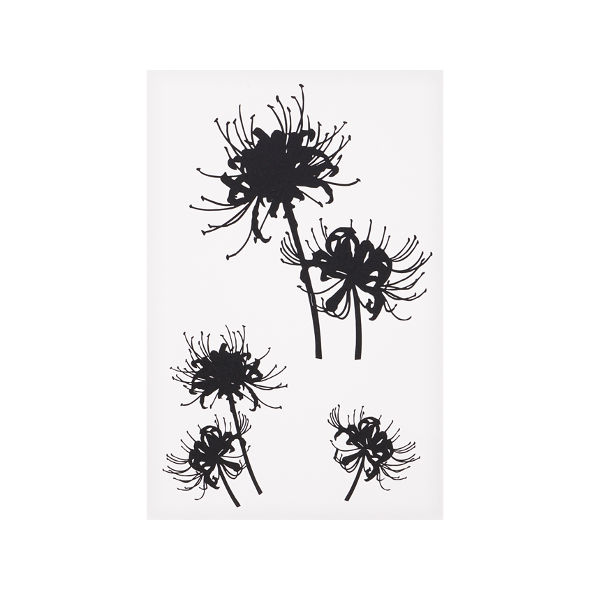 Татуировка для тела DECO. переводная 5 flowers