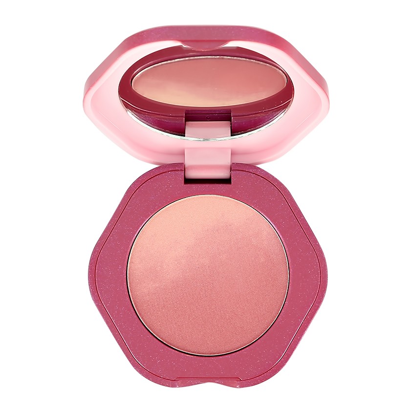 Румяна для лица NOVO GRADUALLY MACARONS BLUSH тон 04