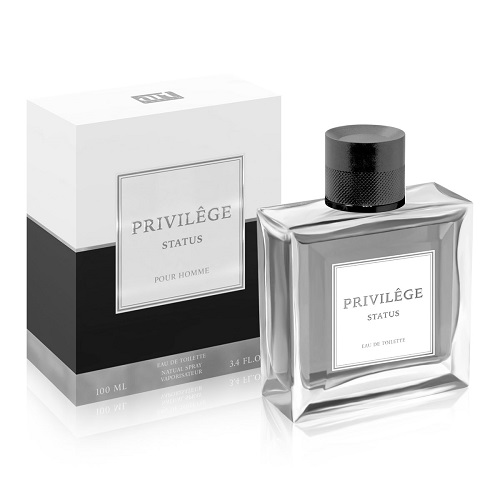 

Туалетная вода ART PARFUM PRIVILEGE STATUS муж. 100 мл