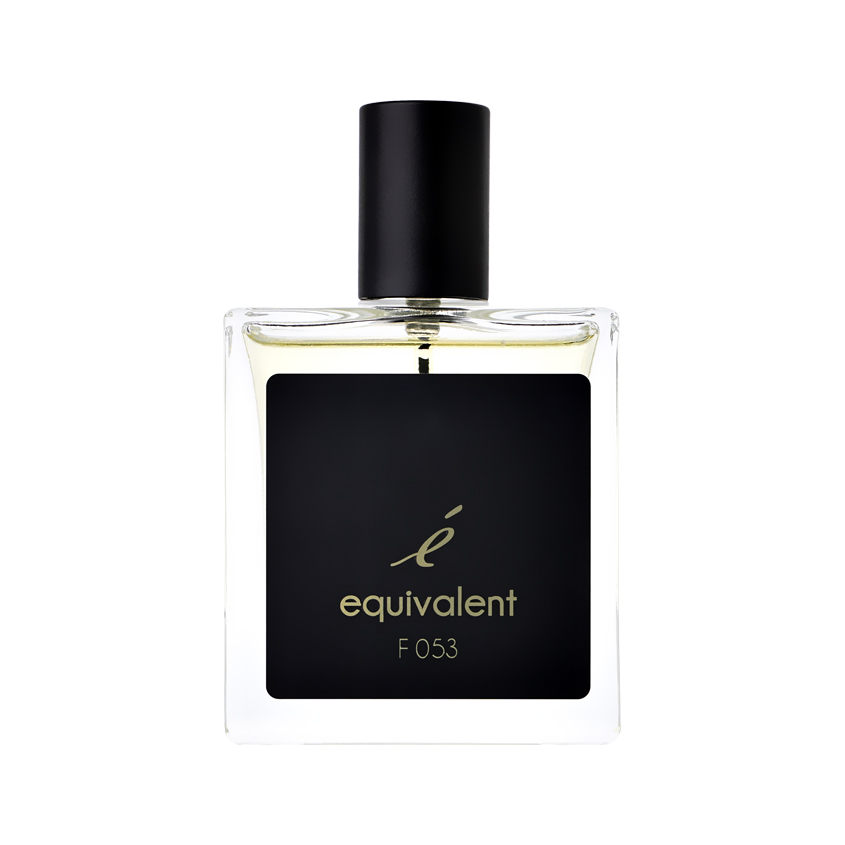 Парфюмерная вода EQUIVALENT BLACK PREMIUM F 053 жен. 50 мл