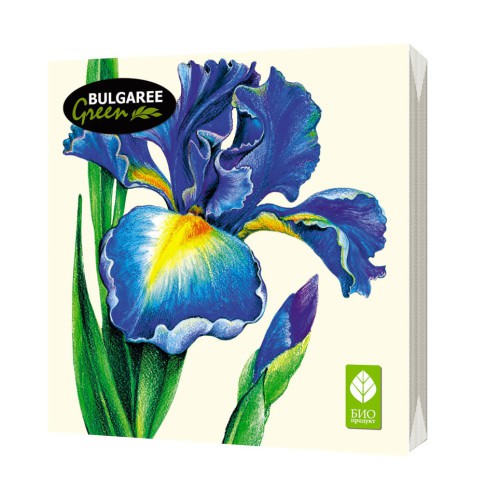 BULGAREE GREEN Салфетки бумажные BULGAREE GREEN трехслойные Ирис 20 шт