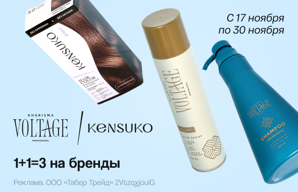 KHARISMA VOLTAGE, KENSUKO: 1+1=3