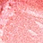 Блеск для губ `LUXVISAGE` GLASS SHINE тон 15