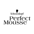 PERFECT MOUSSE