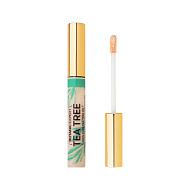 Корректор для лица `EVELINE` BOTANIC EXPERT антибактериальный точечный тон 001