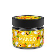 Свеча ароматическая `BAGO HOME` Манго маракуйя 80 гр