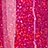 Гель-лак `RUNAIL PROFESSIONAL` INDI LAQUE тон 3568 9 мл Гель-лак `RUNAIL PROFESSIONAL` INDI LAQUE тон 3568 9 мл