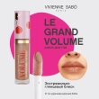 Блеск для губ `VIVIENNE SABO` `GLOSS A LEVRES` LE GRAND VOLUME тон 10 datte