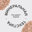 Пудра для лица `VIVIENNE SABO` MATTRIARCAT компактная матирующая тон 02 Бежевый