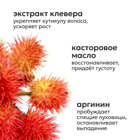 ProductImage