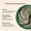 Маска для лица `AXIS-Y` с полынью, очищающая поры 100 мл