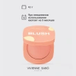 Румяна для лица `VIVIENNE SABO` MACARON матовые тон 01 Персиковый