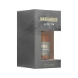 Парфюмерная вода `AMBASSADOR` HORIZON (муж.) 100 мл