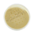 Пудра для лица `ESSENCE` BANANA LOOSE POWDER рассыпчатая