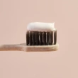 Паста зубная `WHITE GLO` ANTIBACTERIAL PROTECT отбеливающая с антибактериальным эффектом и ополаскивателем 100 г