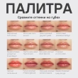 Блеск для губ `VIVIENNE SABO` `GLOSS A LEVRES` LE GRAND VOLUME тон 10 datte