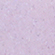 Лак для ногтей `PINK UP` `LIMITED` DOPAMINE тон 03 10 мл