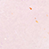 Блеск для губ `STELLARY` BIG LIPS тон 02 Not your angel