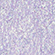 Тени для век `INFLUENCE BEAUTY` NEOCHROME дуохромные тон 04 Prism